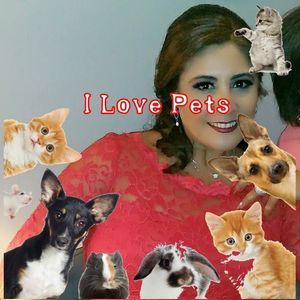 Meet your Posher, Norma